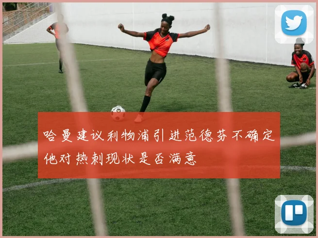 哈曼建议利物浦引进范德芬不确定他对热刺现状是否满意